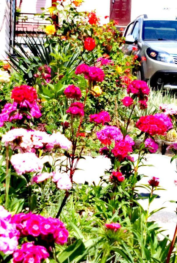At the seaside Hotell Pizunda Eksteriør bilde